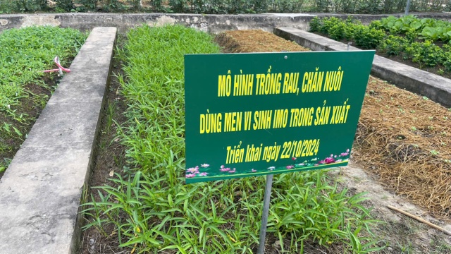 Từ rác thải sinh hoạt đến phân bón hữu cơ: Chu trình kinh tế tuần hoàn nhờ IMO