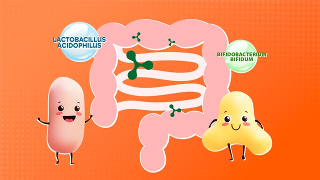 Lối sống lành mạnh bắt đầu từ việc chăm sóc hệ tiêu hoá